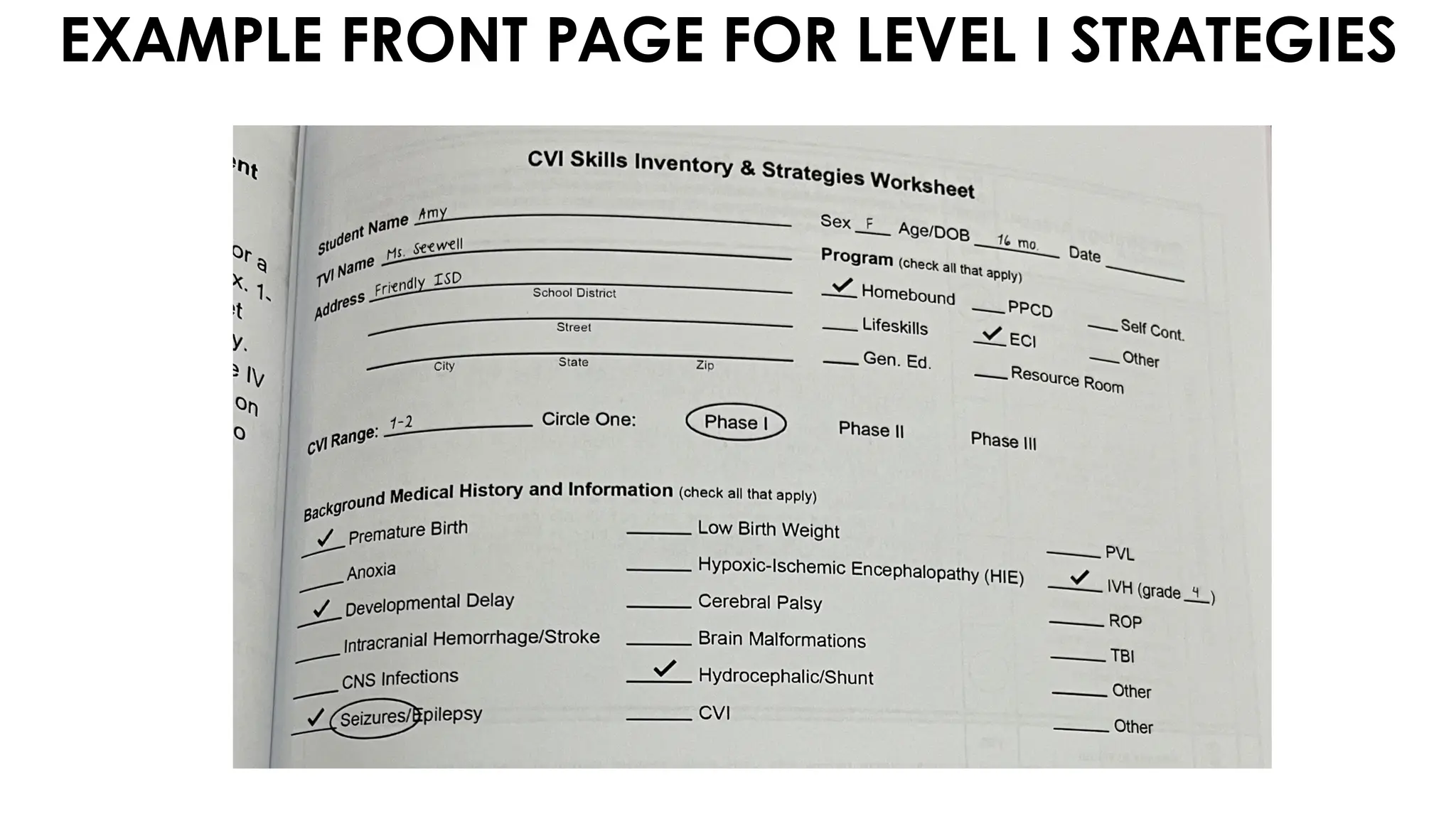 EXAMPLE FRONT PAGE FOR LEVEL I STRATEGIES
 