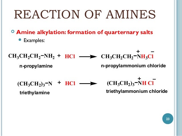 hydrochloride salt structure amine 9 Chapter hydrochloride salt structure amine 9 Chapter