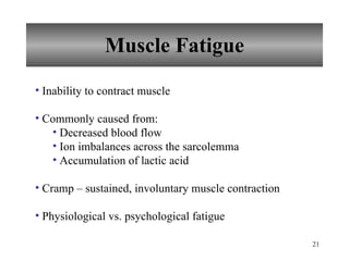 Muscle Fatigue Inability to contract muscle Commonly caused from: Decreased blood flow Ion imbalances across the sarcolemma Accumulation of lactic acid Cramp – sustained, involuntary muscle contraction Physiological vs. psychological fatigue 