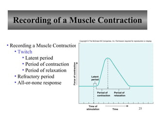 Recording of a Muscle Contraction Recording a Muscle Contraction Twitch Latent period Period of contraction Period of relaxation Refractory period All-or-none response Copyright © The McGraw-Hill Companies, Inc. Permission required for reproduction or display. Force of contraction Time Latent period Period of contraction Period of relaxation Time of stimulation 