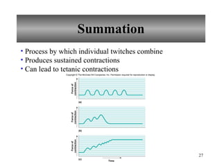 Summation Process by which individual twitches combine Produces sustained contractions Can lead to tetanic contractions Copyright © The McGraw-Hill Companies, Inc. Permission required for reproduction or display. Time (c) (b) Force of contraction (a) Force of contraction Force of contraction 