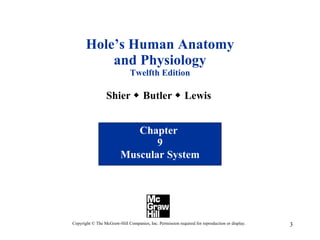 Hole’s Human Anatomy and Physiology Twelfth Edition Shier    Butler    Lewis  Chapter  9 Muscular System Copyright © The McGraw-Hill Companies, Inc. Permission required for reproduction or display. 