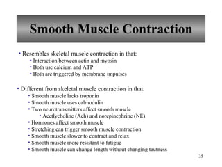 Smooth Muscle Contraction Resembles skeletal muscle contraction in that: Interaction between actin and myosin Both use calcium and ATP Both are triggered by membrane impulses Different from skeletal muscle contraction in that: Smooth muscle lacks troponin Smooth muscle uses calmodulin  Two neurotransmitters affect smooth muscle Acetlycholine (Ach) and norepinephrine (NE) Hormones affect smooth muscle Stretching can trigger smooth muscle contraction Smooth muscle slower to contract and relax Smooth muscle more resistant to fatigue Smooth muscle can change length without changing tautness 