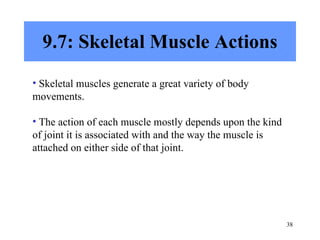 9.7: Skeletal Muscle Actions Skeletal muscles generate a great variety of body movements. The action of each muscle mostly depends upon the kind of joint it is associated with and the way the muscle is attached on either side of that joint. 