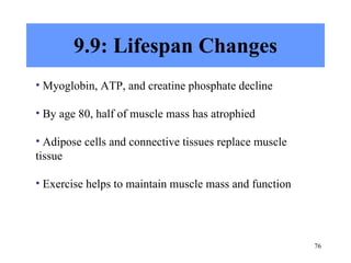 9.9: Lifespan Changes Myoglobin, ATP, and creatine phosphate decline By age 80, half of muscle mass has atrophied Adipose cells and connective tissues replace muscle tissue Exercise helps to maintain muscle mass and function 