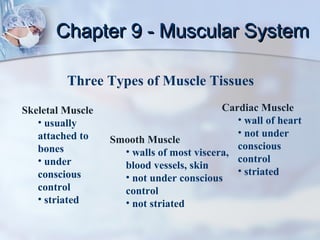 Chapter 9 - Muscular System

         Three Types of Muscle Tissues

Skeletal Muscle                           Cardiac Muscle
   • usually                                 • wall of heart
   attached to                               • not under
                  Smooth Muscle
   bones                                     conscious
                    • walls of most viscera,
   • under                                   control
                    blood vessels, skin
   conscious                                 • striated
                    • not under conscious
   control          control
   • striated       • not striated
 