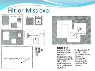 Hit-or-Miss exp:
 
