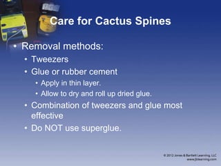 Care for Cactus Spines
• Removal methods:
• Tweezers
• Glue or rubber cement
• Apply in thin layer.
• Allow to dry and roll up dried glue.
• Combination of tweezers and glue most
effective
• Do NOT use superglue.
 