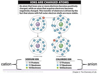 Fundamentals of Atomic Structure and Chemical Bonds in Biology | PDF