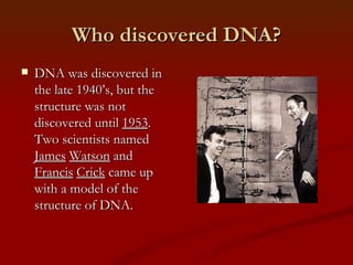 Who discovered DNA? DNA was discovered in the late 1940’s, but the structure was not discovered until 1953 . Two scientists named James Watson and Francis Crick came up with a model of the structure of DNA.