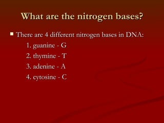 What are the nitrogen bases? There are 4 different nitrogen bases in DNA: 1. guanine - G 2. thymine - T 3. adenine - A 4. cytosine - C