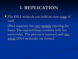 I. REPLICATION The DNA molecule can build an exact  copy  of itself. DNA separates into  two   strands  exposing the bases. The exposed bases combine with free nucleotides. This process is repeated until  two   whole  DNA molecules are formed. 
