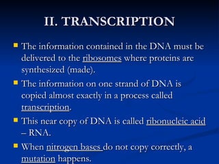 II. TRANSCRIPTION The information contained in the DNA must be delivered to the  ribosomes  where proteins are synthesized (made). The information on one strand of DNA is copied almost exactly in a process called  transcription . This near copy of DNA is called  ribonucleic acid  – RNA. When  nitrogen bases  do not copy correctly, a  mutation  happens. 