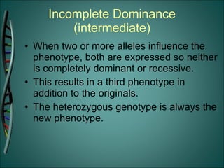 Incomplete Dominance (intermediate) When two or more alleles influence the phenotype, both are expressed so neither is completely dominant or recessive. This results in a third phenotype in addition to the originals. The heterozygous genotype is always the new phenotype. 