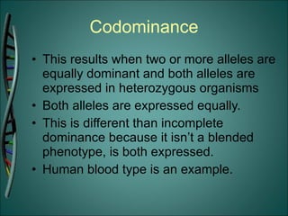 Codominance This results when two or more alleles are equally dominant and both alleles are expressed in heterozygous organisms Both alleles are expressed equally. This is different than incomplete dominance because it isn’t a blended phenotype, is both expressed. Human blood type is an example. 