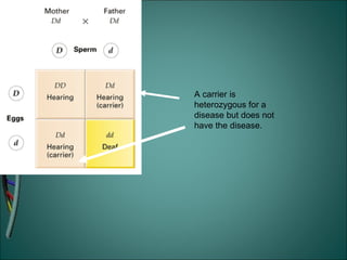 A carrier is heterozygous for a disease but does not have the disease. 