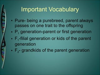 Important Vocabulary Pure- being a purebreed, parent always passes on one trait to the offspring P 1  generation-parent or first generation F 1 -filial generation or kids of the parent generation F 2 - grandkids of the parent generation 