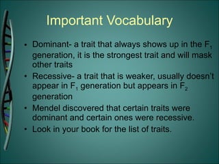 Important Vocabulary Dominant- a trait that always shows up in the F 1  generation, it is the strongest trait and will mask other traits Recessive- a trait that is weaker, usually doesn’t appear in F 1  generation but appears in F 2  generation Mendel discovered that certain traits were dominant and certain ones were recessive. Look in your book for the list of traits. 
