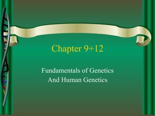 Chapter 9+12 Fundamentals of Genetics And Human Genetics 