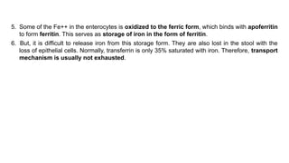 Fe Chapter 94,Principles of Digestion and Absorption.pptx