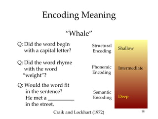 Chapter 9 ap psych- Memory | PPT