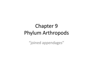 Chapter 9
Phylum Arthropods
 “joined appendages”
 