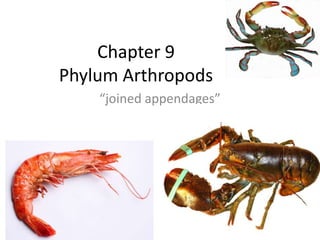Chapter 9
Phylum Arthropods
    “joined appendages”
 
