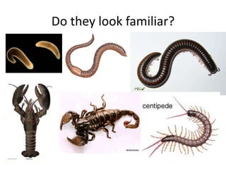 Do they look familiar?
 