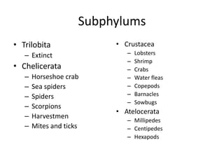 Subphylums
• Trilobita               • Crustacea
   – Extinct                 –   Lobsters
                             –   Shrimp
• Chelicerata                –   Crabs
   –   Horseshoe crab        –   Water fleas
   –   Sea spiders           –   Copepods
   –   Spiders               –   Barnacles
                             –   Sowbugs
   –   Scorpions
                          • Atelocerata
   –   Harvestmen
                             – Millipedes
   –   Mites and ticks       – Centipedes
                             – Hexapods
 