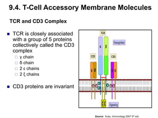 Chapter 9 Basic immunology ppts DZ 2010.ppt