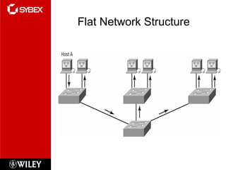 Flat Network Structure
 