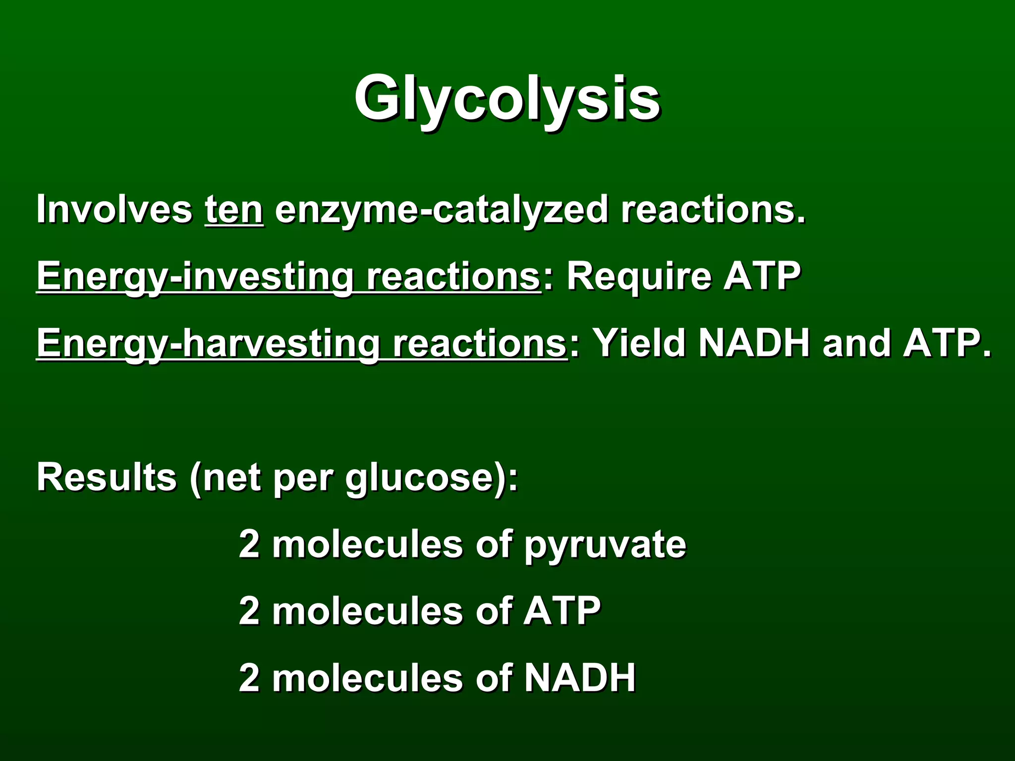 Glycolysis
Involves ten enzyme-catalyzed reactions.
Energy-investing reactions: Require ATP
Energy-harvesting reactions: Yield NADH and ATP.


Results (net per glucose):
          2 molecules of pyruvate
          2 molecules of ATP
          2 molecules of NADH
 