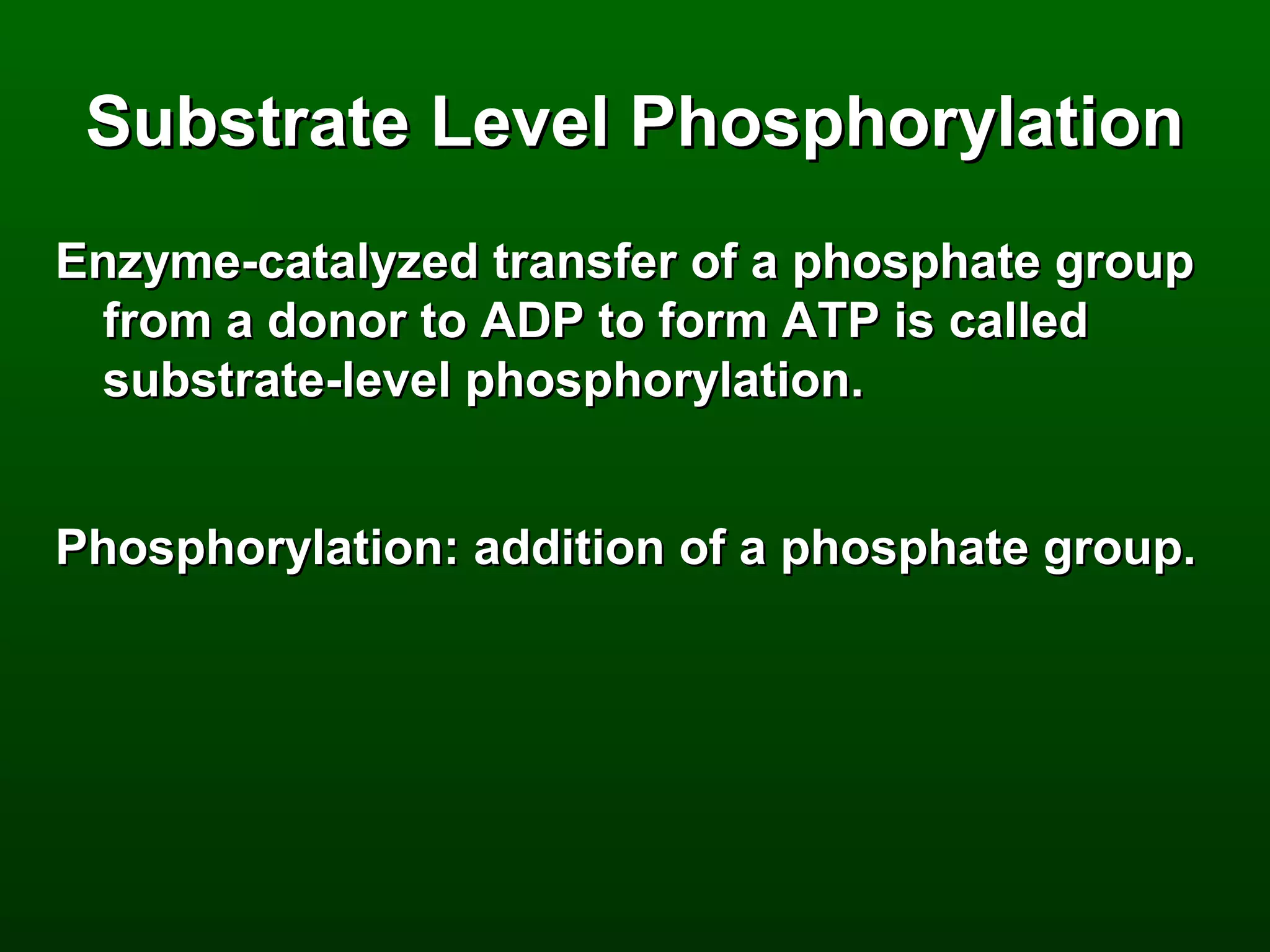 Substrate Level Phosphorylation
Enzyme-catalyzed transfer of a phosphate group
 from a donor to ADP to form ATP is called
 substrate-level phosphorylation.


Phosphorylation: addition of a phosphate group.
 