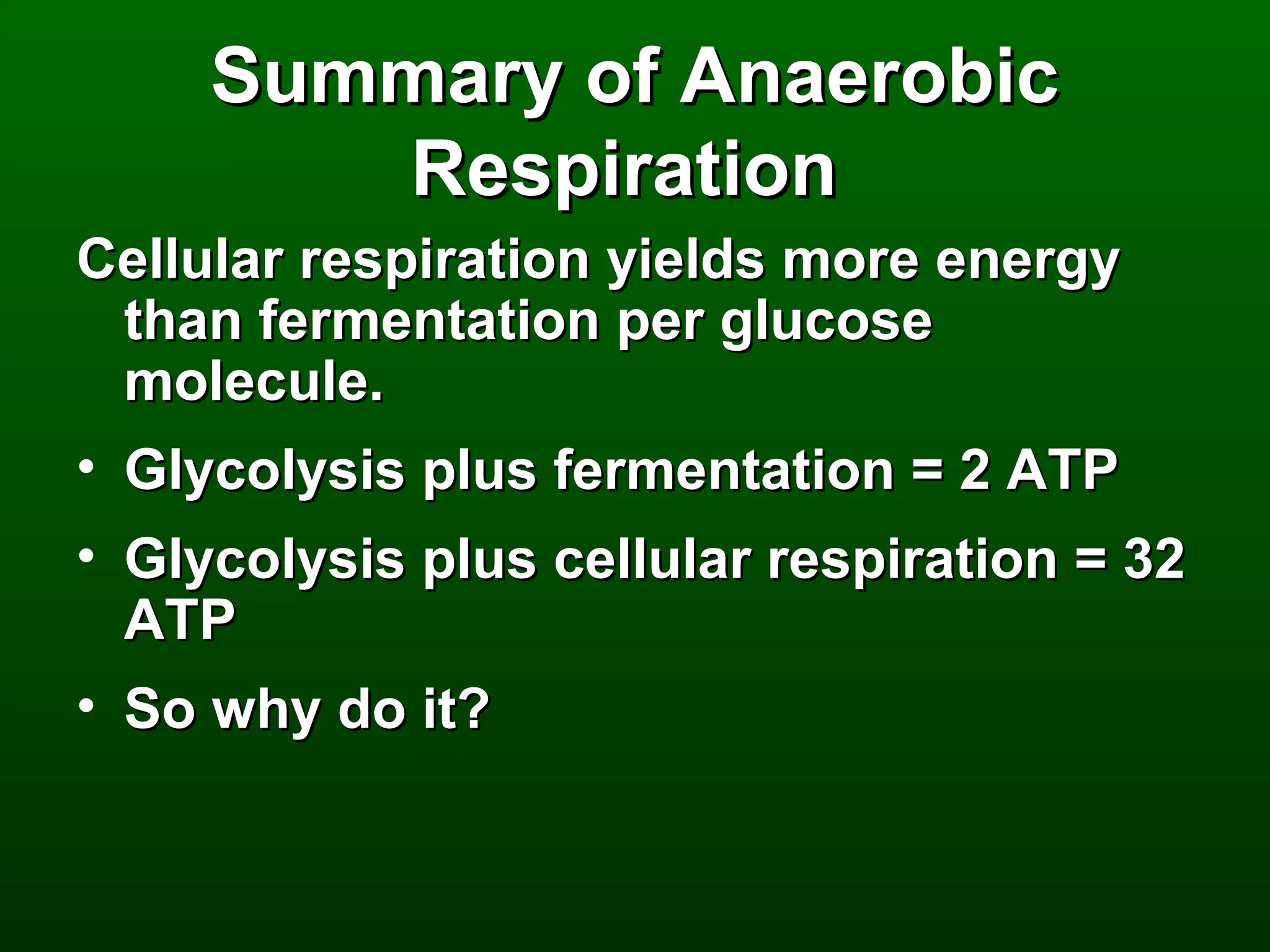 Summary of Anaerobic
        Respiration
Cellular respiration yields more energy
  than fermentation per glucose
  molecule.
• Glycolysis plus fermentation = 2 ATP
• Glycolysis plus cellular respiration = 32
  ATP
• So why do it?
 