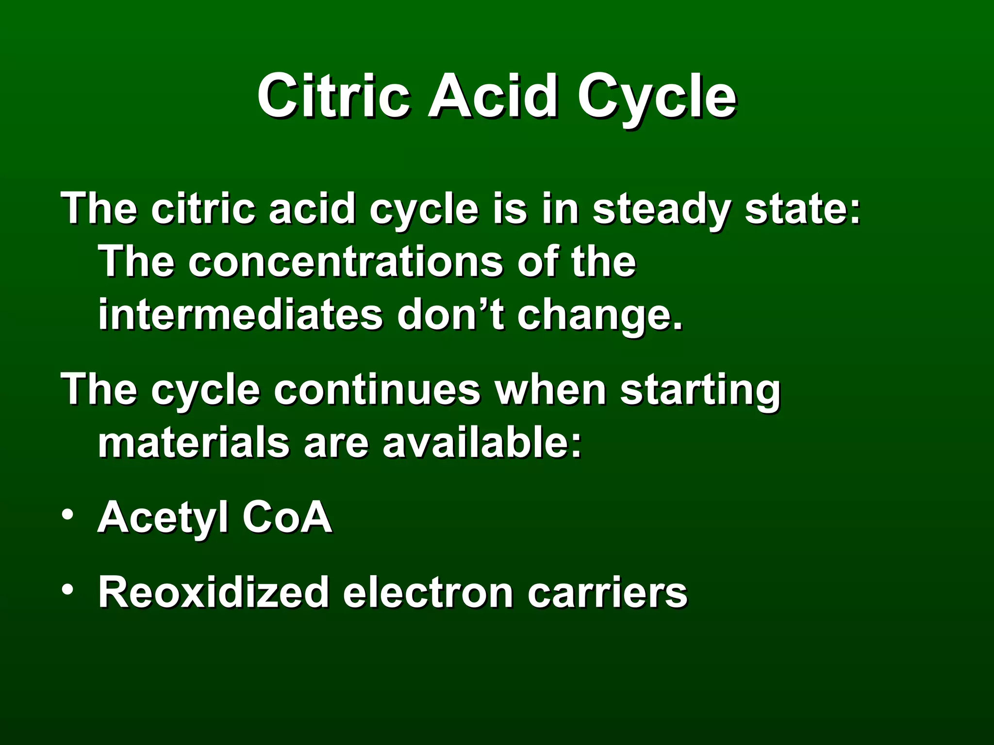 Citric Acid Cycle
The citric acid cycle is in steady state:
 The concentrations of the
 intermediates don’t change.
The cycle continues when starting
 materials are available:
• Acetyl CoA
• Reoxidized electron carriers
 