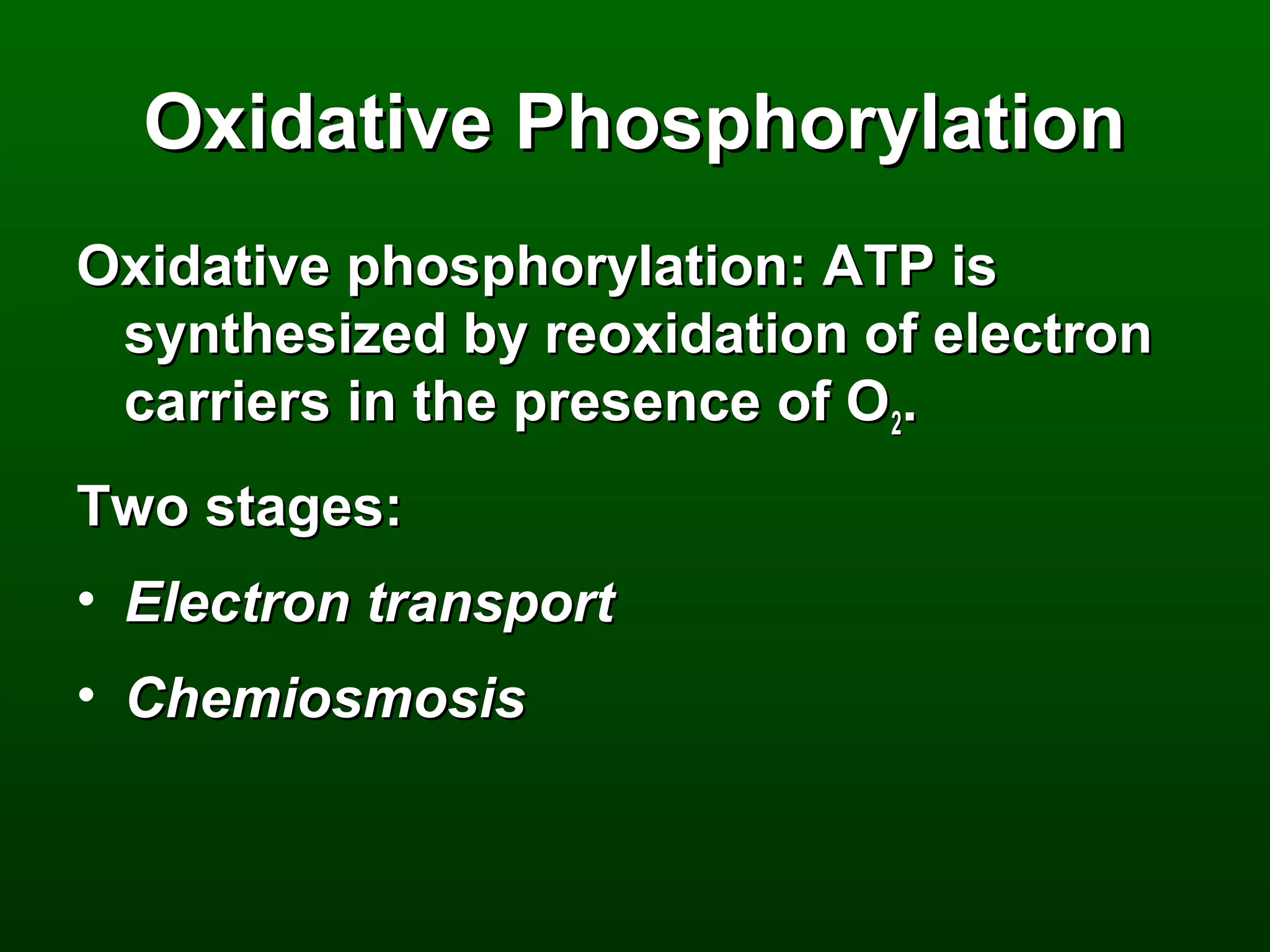 Oxidative Phosphorylation
Oxidative phosphorylation: ATP is
 synthesized by reoxidation of electron
 carriers in the presence of O2.
Two stages:
• Electron transport
• Chemiosmosis
 