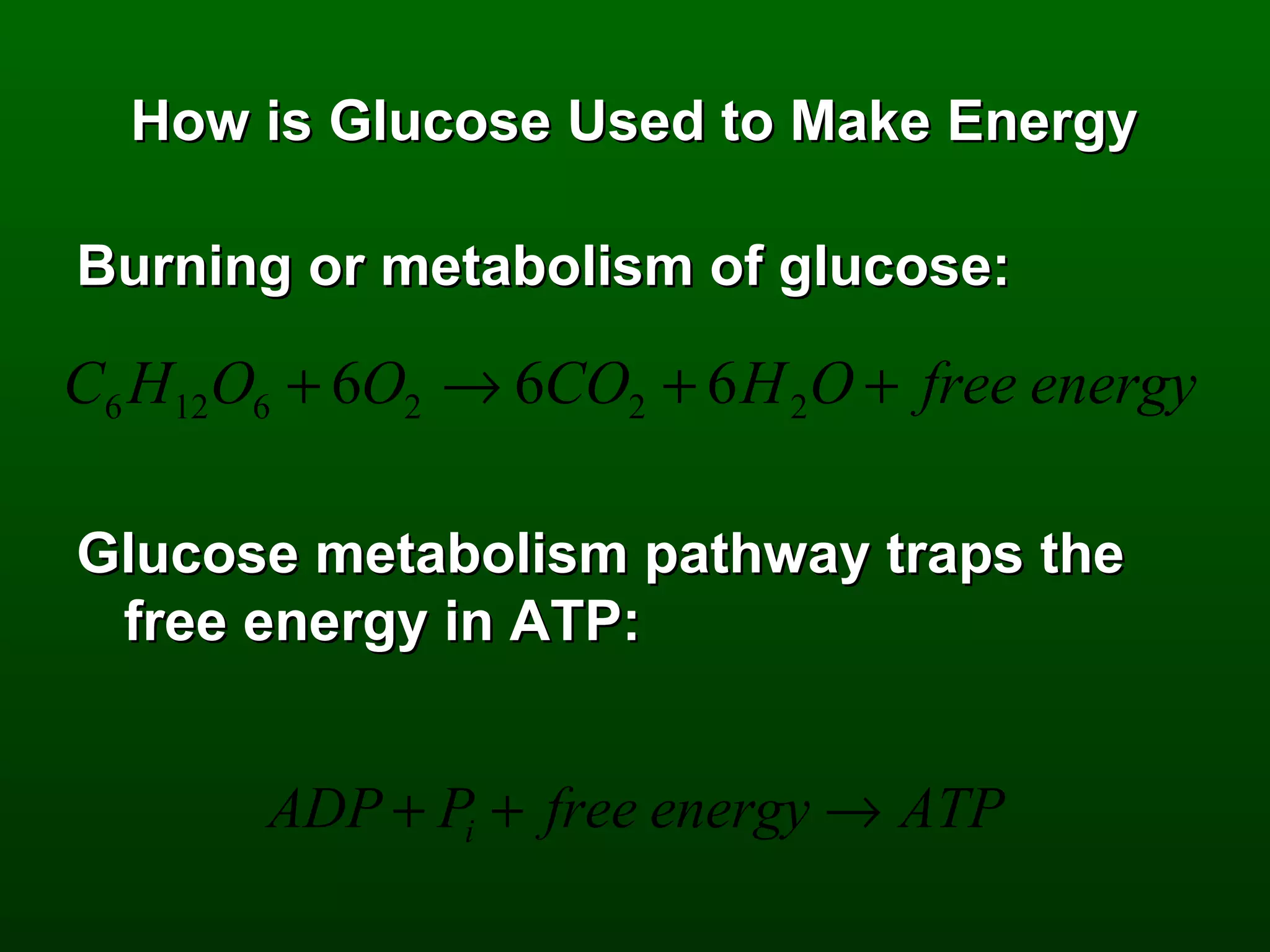 How is Glucose Used to Make Energy

Burning or metabolism of glucose:

C6 H12O6 + 6O2 → 6CO2 + 6 H 2O + free energy

Glucose metabolism pathway traps the
 free energy in ATP:


       ADP + Pi + free energy → ATP
 