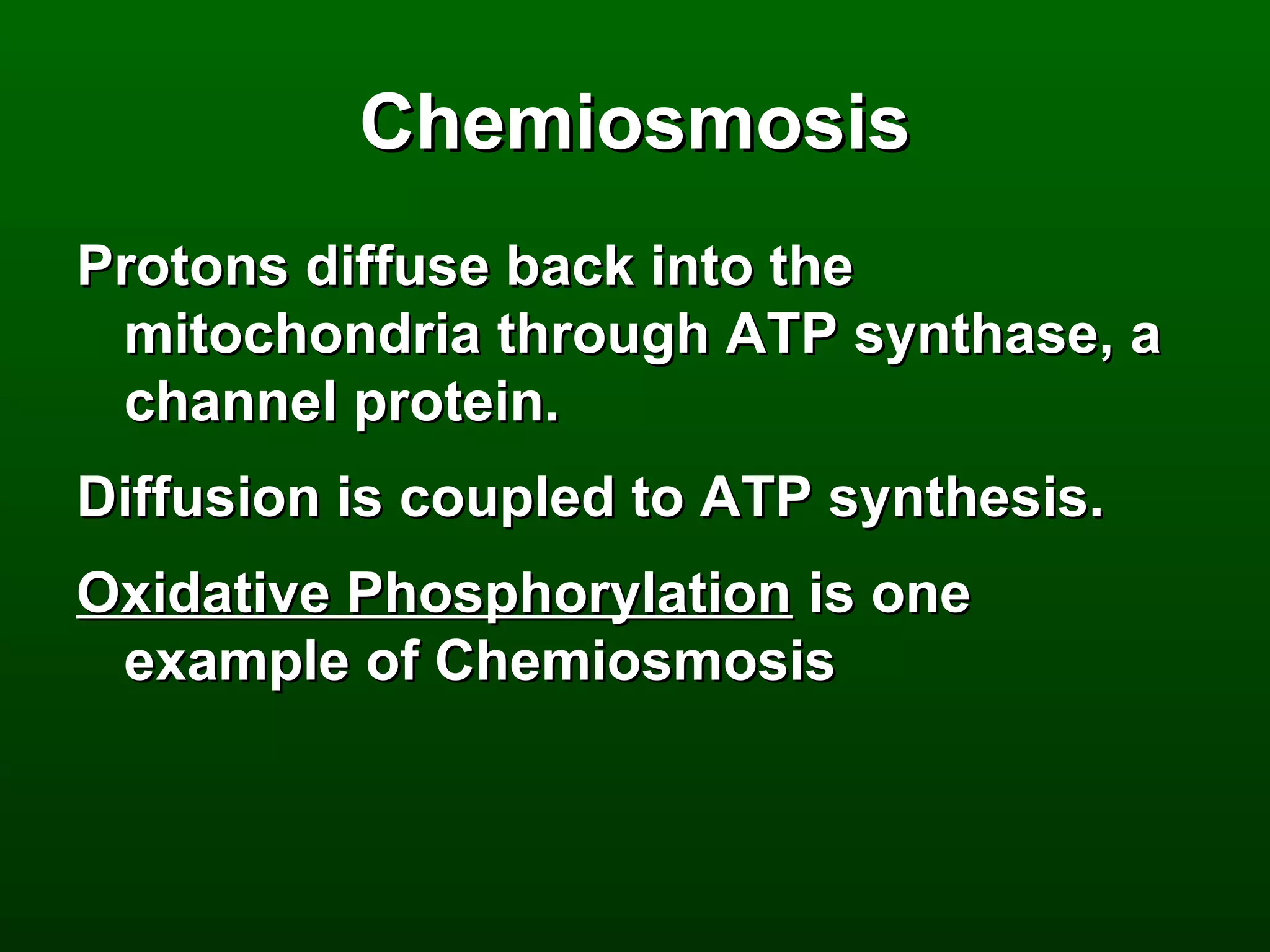 Chemiosmosis
Protons diffuse back into the
 mitochondria through ATP synthase, a
 channel protein.
Diffusion is coupled to ATP synthesis.
Oxidative Phosphorylation is one
 example of Chemiosmosis
 