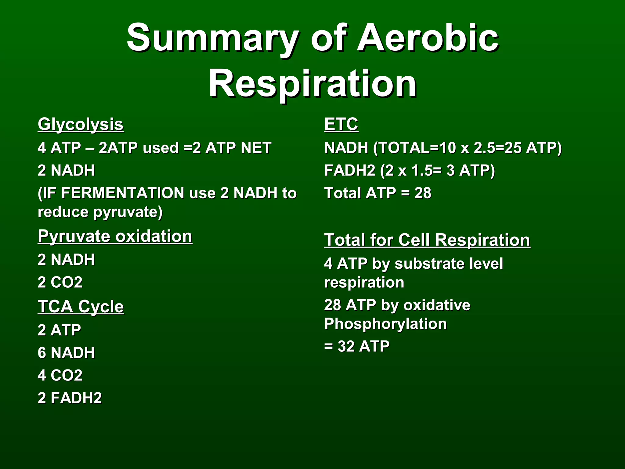 Summary of Aerobic
                Respiration
Glycolysis                       ETC
4 ATP – 2ATP used =2 ATP NET     NADH (TOTAL=10 x 2.5=25 ATP)
2 NADH                           FADH2 (2 x 1.5= 3 ATP)
(IF FERMENTATION use 2 NADH to   Total ATP = 28
reduce pyruvate)
Pyruvate oxidation               Total for Cell Respiration
2 NADH                           4 ATP by substrate level
2 CO2                            respiration
TCA Cycle                        28 ATP by oxidative
2 ATP                            Phosphorylation
6 NADH                           = 32 ATP
4 CO2
2 FADH2
 