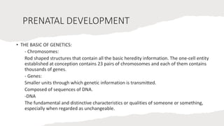 PRENATAL DEVELOPMENT
• THE BASIC OF GENETICS:
- Chromosomes:
Rod shaped structures that contain all the basic heredity information. The one-cell entity
established at conception contains 23 pairs of chromosomes and each of them contains
thousands of genes.
- Genes:
Smaller units through which genetic information is transmitted.
Composed of sequences of DNA.
-DNA
The fundamental and distinctive characteristics or qualities of someone or something,
especially when regarded as unchangeable.
 