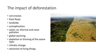 The impact of deforestation
• soil erosion.
• flash flood.
• landslide.
• eutrophication.
• water, air, thermal and noise
pollution.
• global warming.
• depletion or thinning of the ozone
layer.
• climatic change.
• extinction of living things.
 
