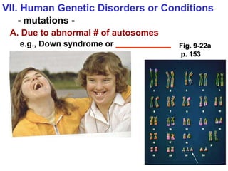 VII. Human Genetic Disorders or Conditions - mutations - A. Due to abnormal # of autosomes e.g., Down syndrome or  ____________ Fig. 9-22a p. 153 