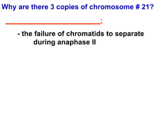 Why are there 3 copies of chromosome # 21? ________________________:   - the failure of chromatids to separate  during anaphase II 