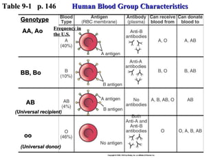 Genotype AA, Ao BB, Bo AB oo (Universal donor) Frequency in the U.S. (Universal recipient ) Table 9-1  p. 146 Human Blood Group Characteristics 