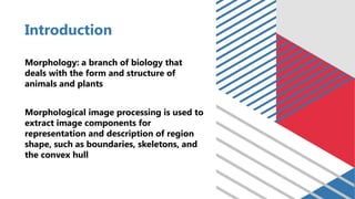 Morphological image processing basic.pptx