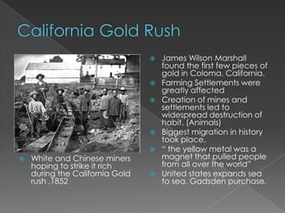    James Wilson Marshall
                                     found the first few pieces of
                                     gold in Coloma, California.
                                    Farming Settlements were
                                     greatly affected
                                    Creation of mines and
                                     settlements led to
                                     widespread destruction of
                                     habit. (Animals)
                                    Biggest migration in history
                                     took place.
                                    “ the yellow metal was a
   White and Chinese miners         magnet that pulled people
    hoping to strike it rich         from all over the world”
    during the California Gold      United states expands sea
    rush ,1852                       to sea, Gadsden purchase.
 
