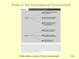 Risks in the International Environment 