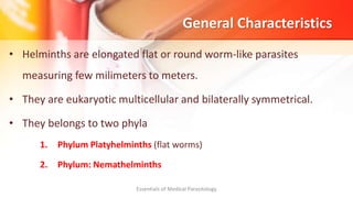 General Characteristics
• Helminths are elongated flat or round worm-like parasites
measuring few milimeters to meters.
• They are eukaryotic multicellular and bilaterally symmetrical.
• They belongs to two phyla
1. Phylum Platyhelminths (flat worms)
2. Phylum: Nemathelminths
Essentials of Medical Parasitology
 