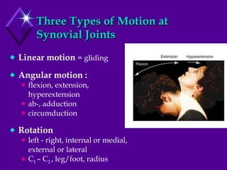 Three Types of Motion at Synovial Joints Linear motion  = gliding Angular motion :  flexion, extension, hyperextension ab-, adduction circumduction Rotation left - right, internal or medial, external or lateral C 1  – C 2  , leg/foot, radius 
