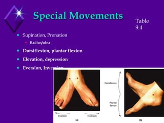 Special Movements Supination, Pronation Radius/ulna Dorsiflexion, plantar flexion Elevation, depression Eversion, Inversion Table 9.4 